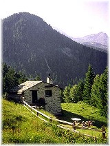 Ferienparadies Maiensäss Puschlav Alp Sumprai