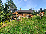 Berghütte Miete Berner Oberland